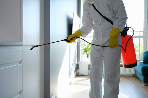 Best Professional Mold Removal  in Alliance, OH