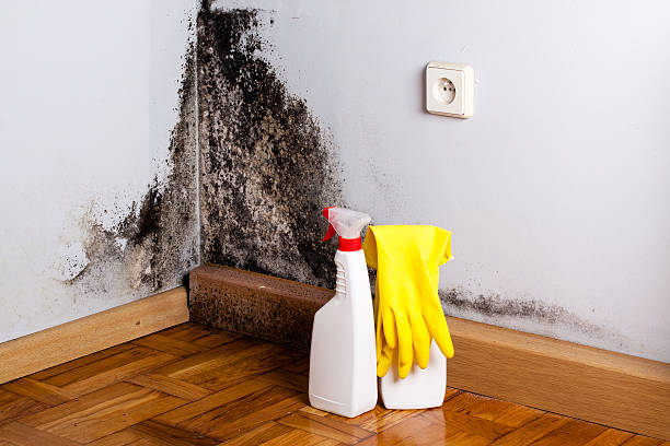 Water Damage Restoration in Alliance, OH